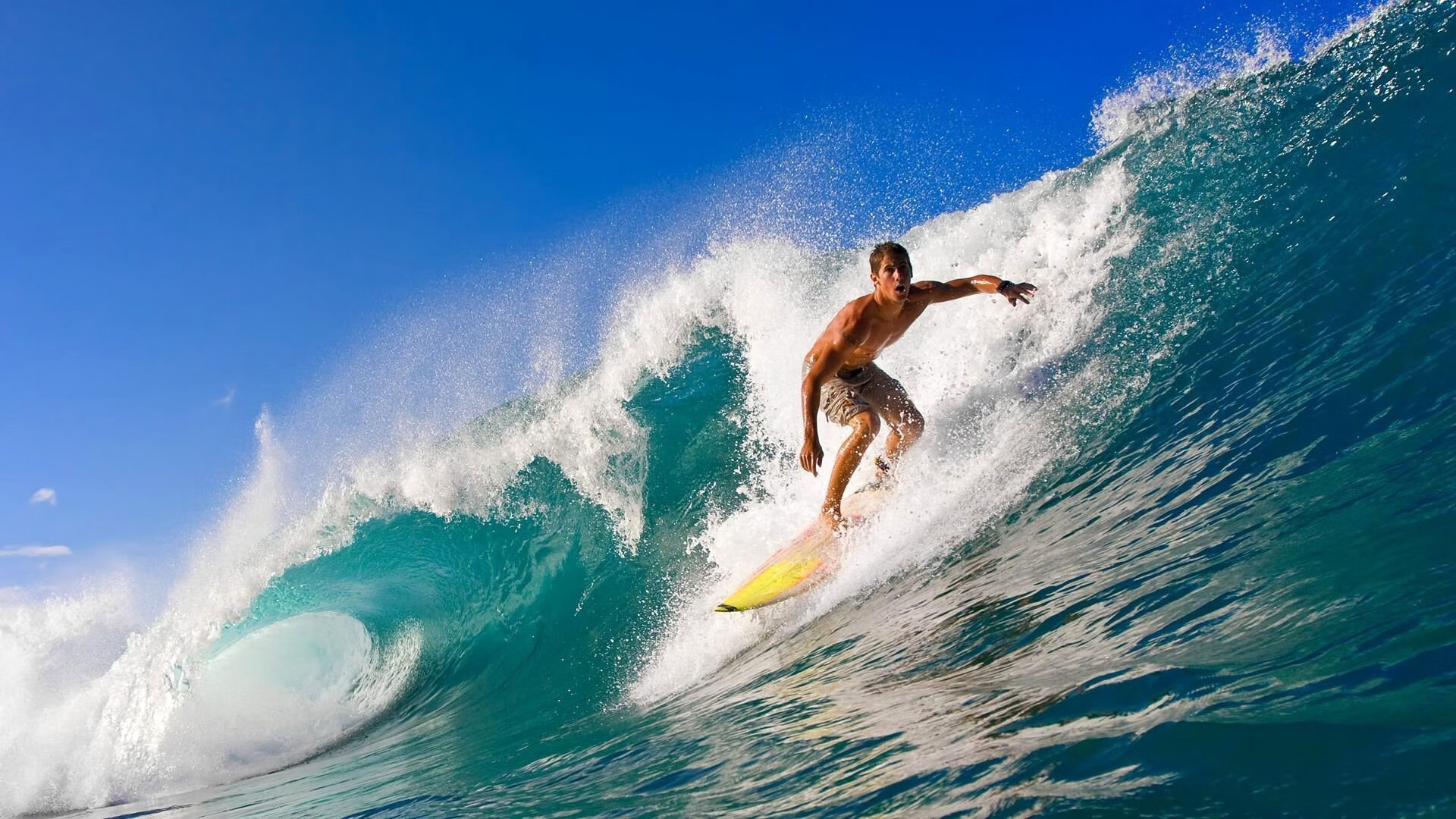 密尔沃基雄鹿主帅放话：美网季后赛必胜切尔西，高芙冷笑回应